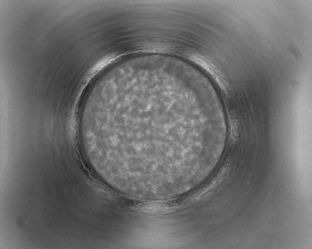 X0000116571074201001071150