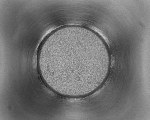 X0000116571075201001071150