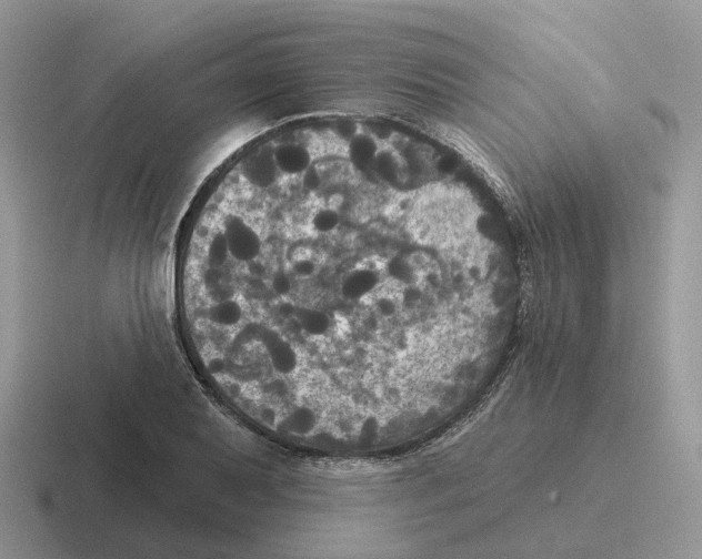 X0000116571079201001071150