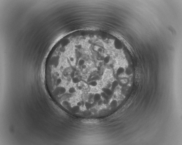 X0000116571083201001071150