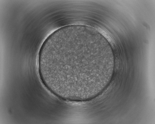 X0000116571084201001071150