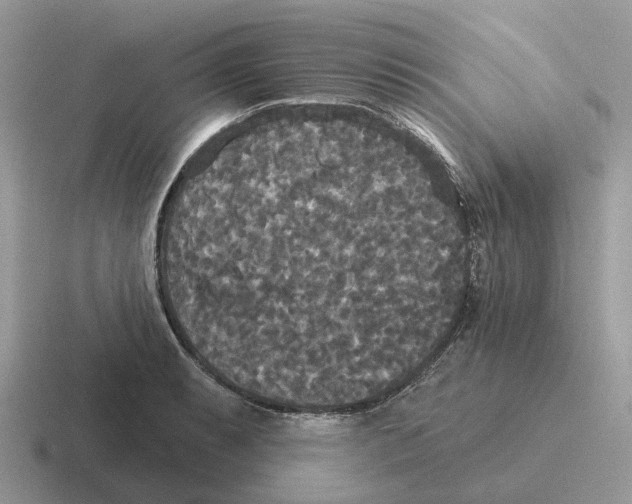 X0000116571087201001071150