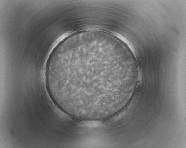 X0000116571090201001071150