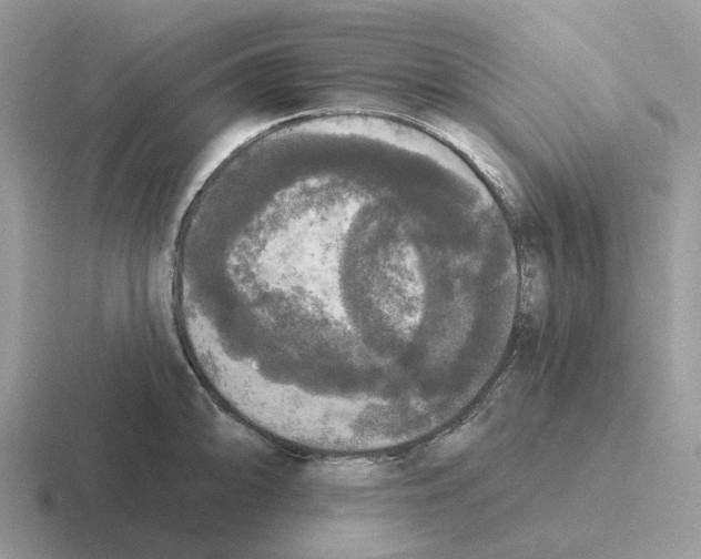 X0000116571094201001071150