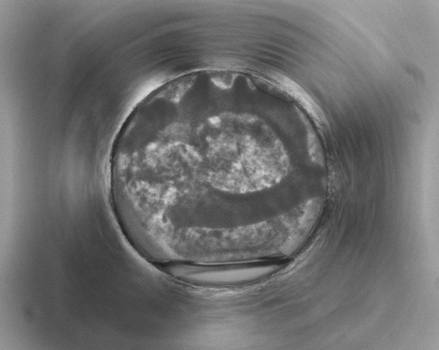 X0000116571095201001071150