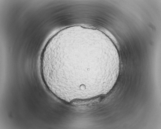 X0000116571096201001071150