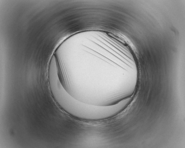 X0000116571097201001071150