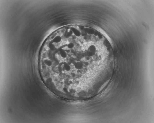 X0000116571099201001071150