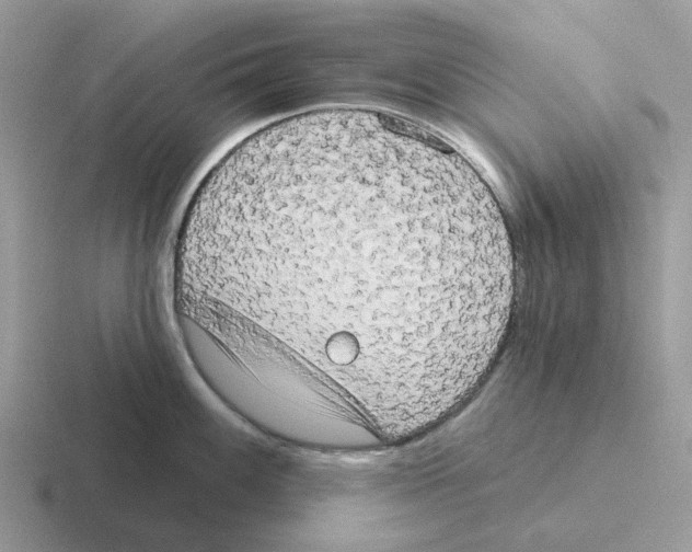 X0000116571100201001071150