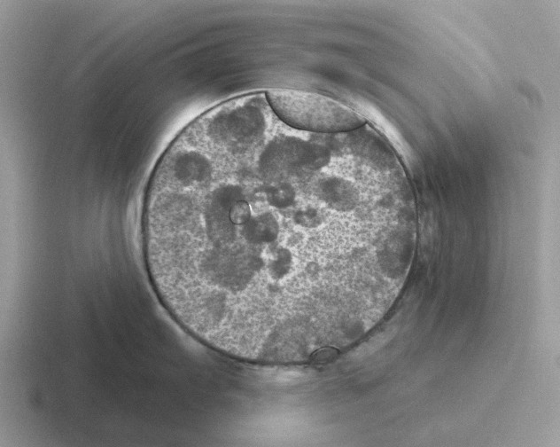 X0000116571103201001071150