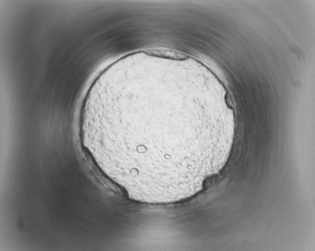 X0000116571104201001071150