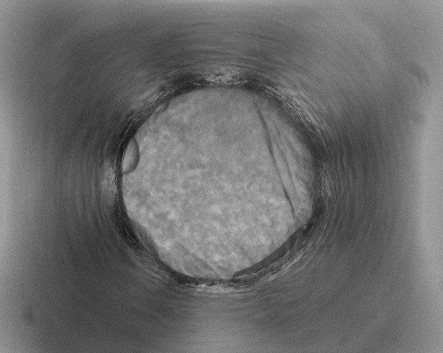 X0000116571106201001071149