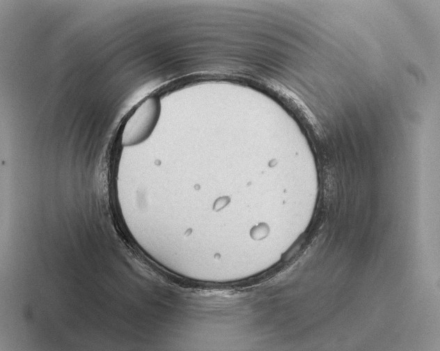 X0000116571114201001071149