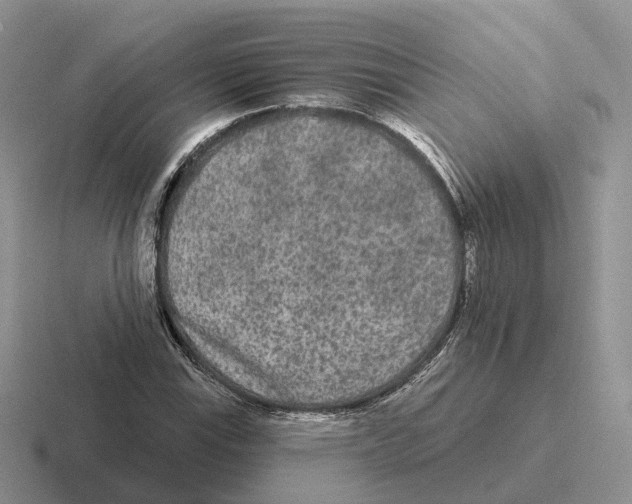 X0000116571115201001071149