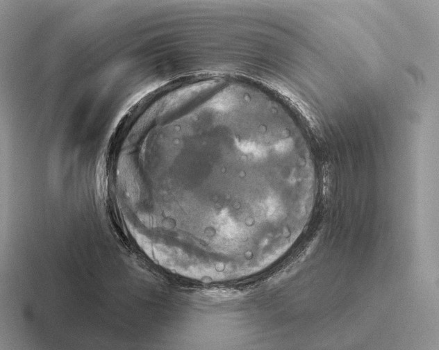 X0000116571117201001071149