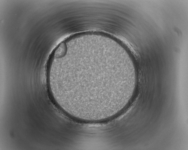 X0000116571118201001071149