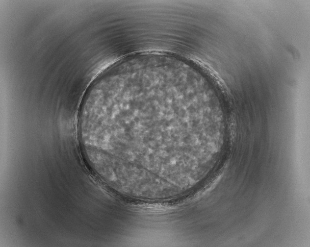 X0000116571121201001071149