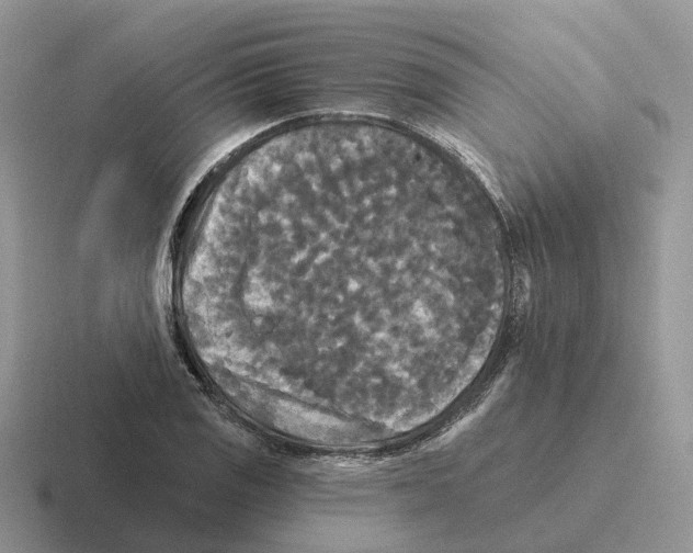 X0000116571125201001071149