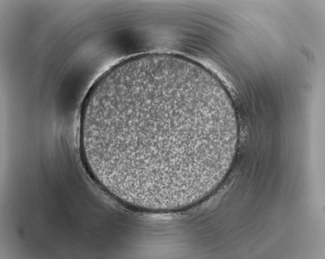 X0000116571126201001071149