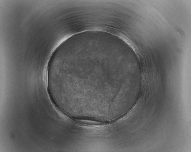 X0000116571127201001071149