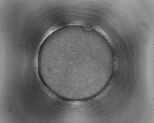 X0000116571130201001071149