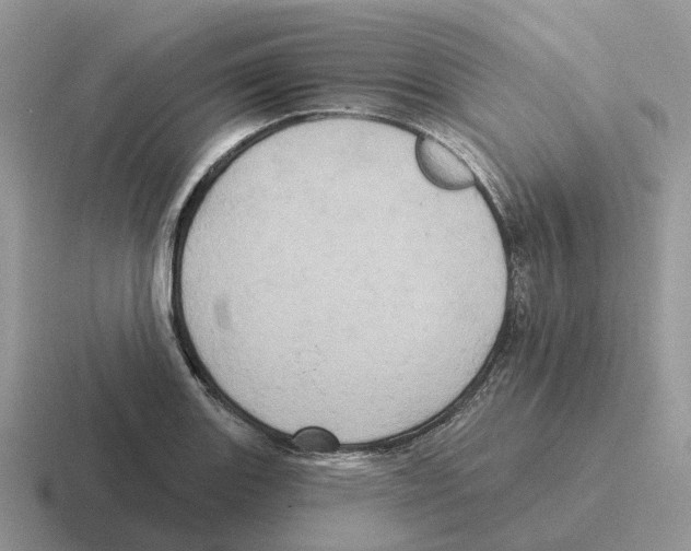 X0000116571131201001071149