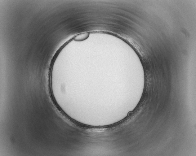 X0000116571134201001071149