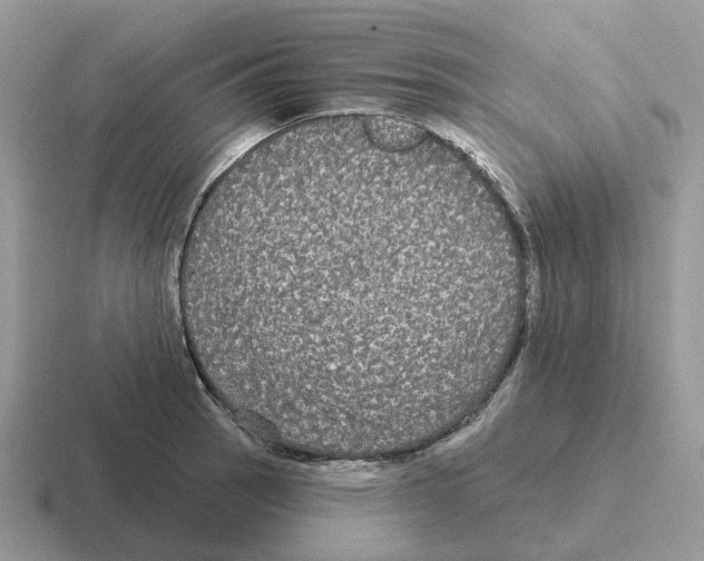 X0000116571137201001071149