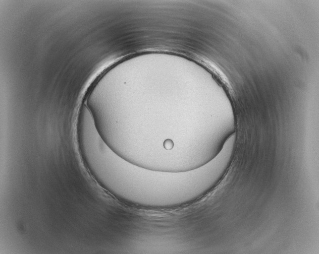 X0000116571138201001071149