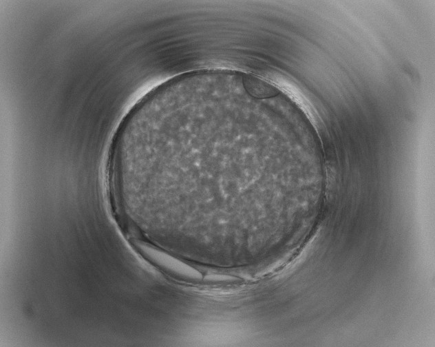 X0000116571141201001071149