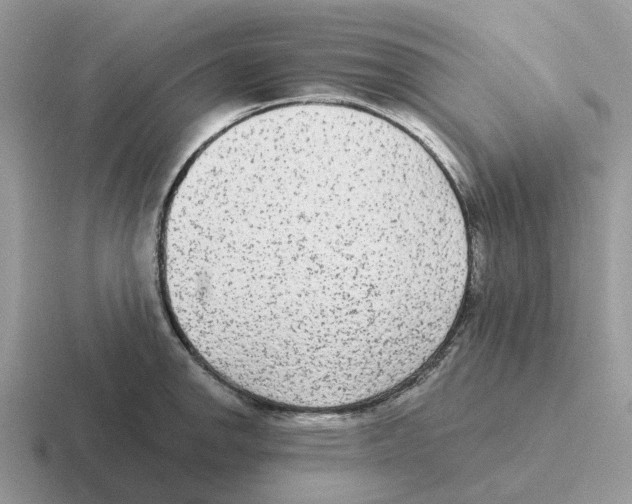 X0000116571142201001071149