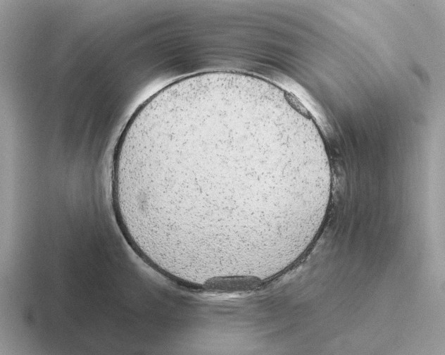 X0000116571143201001071149