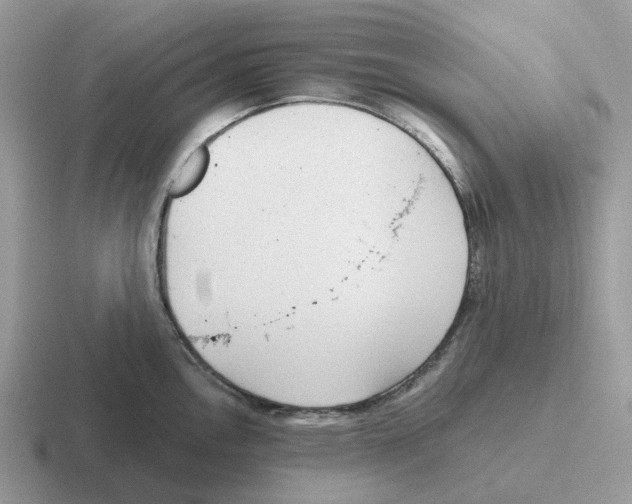 X0000116571146201001071150