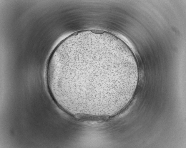 X0000116571149201001071150