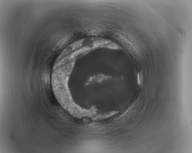 X0000116571155201001071149