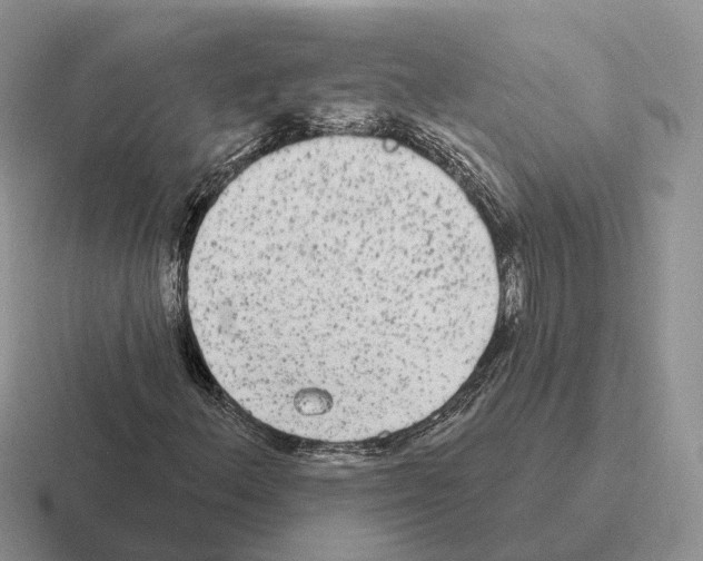 X0000116571156201001071149