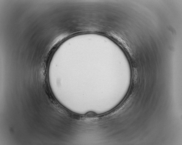 X0000116571163201001071149