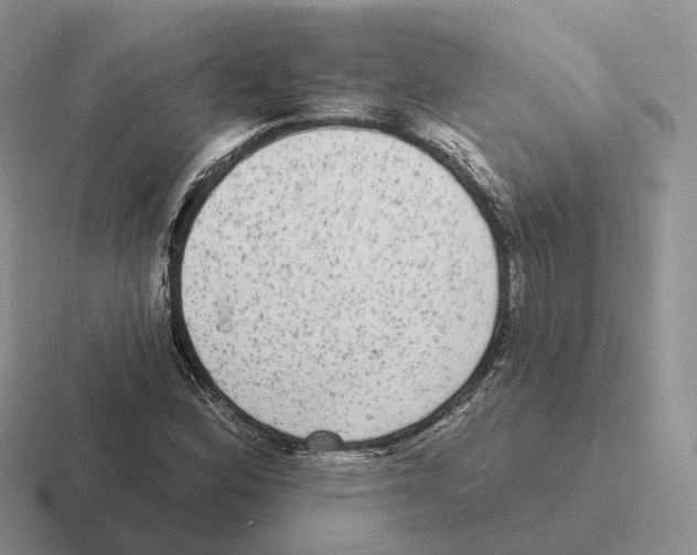 X0000116571164201001071149