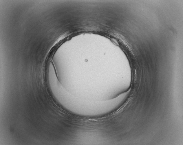 X0000116571165201001071149