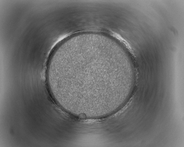 X0000116571166201001071149