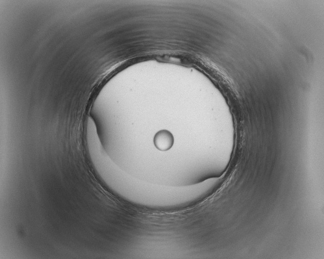 X0000116571169201001071149