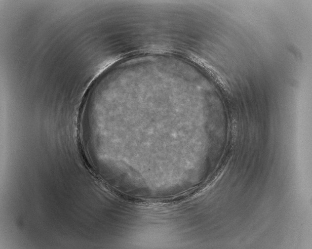 X0000116571170201001071149