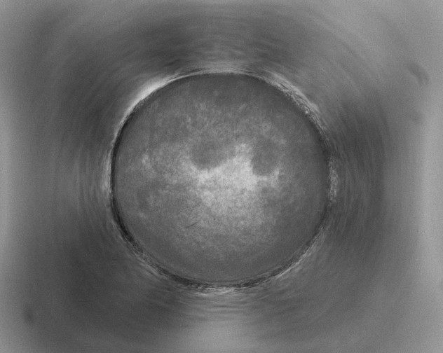 X0000116571174201001071149