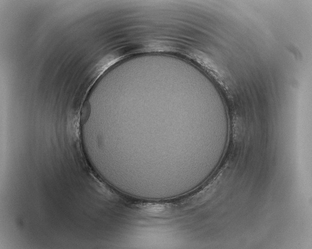 X0000116571177201001071149