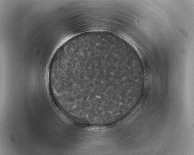 X0000116571179201001071149