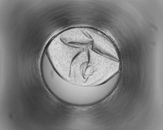 X0000116571181201001071149