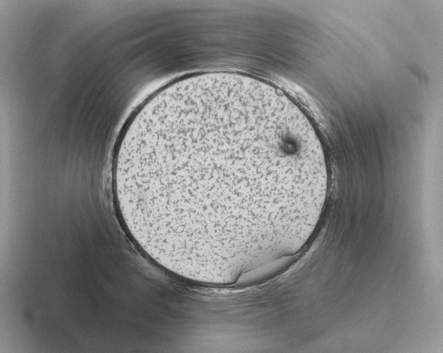 X0000116571184201001071149