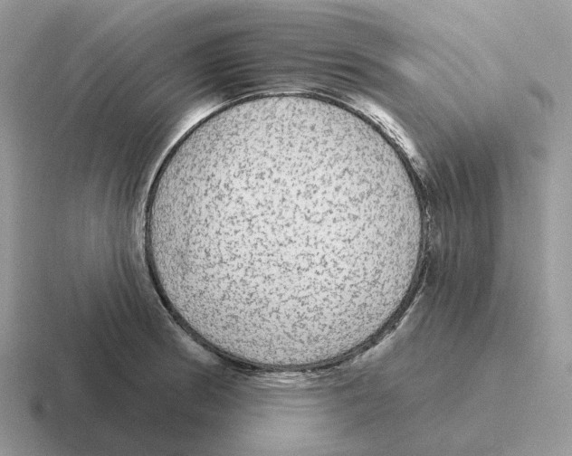 X0000116571186201001071149