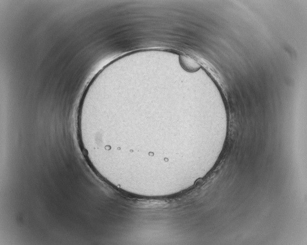 X0000116571187201001071149