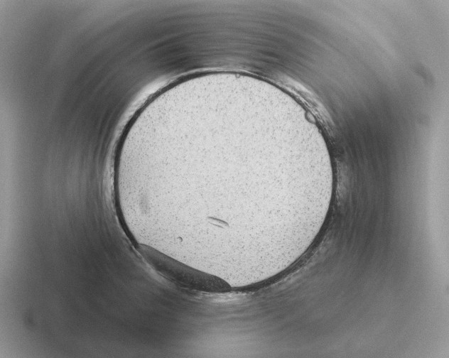 X0000116571188201001071149